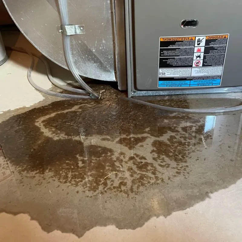 Pipe Burst and Leak Restoration in Ogallala, NE